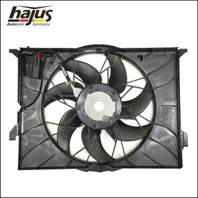 Hajus 1211310 Вентилятор радиатора охлаждения 1211310: Отличная цена - Купить в Польше на 2407.PL!