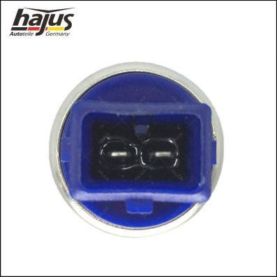 Buy Hajus 1211153 – good price at 2407.PL!