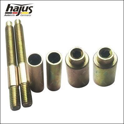 Hajus 6151177 Fuel injector repair kit 6151177: Buy near me in Poland at 2407.PL - Good price!