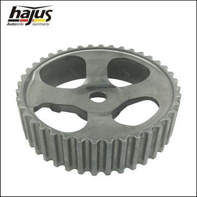 Hajus 1091008 Camshaft Drive Gear 1091008: Buy near me in Poland at 2407.PL - Good price!