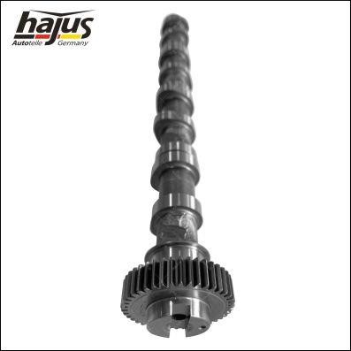 Hajus 1091062 Camshaft 1091062: Buy near me at 2407.PL in Poland at an Affordable price!