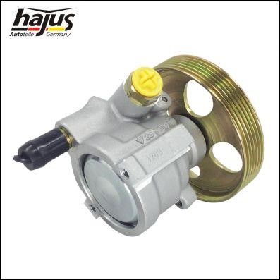 Hajus 4221047 Hydraulic Pump, steering system 4221047: Buy near me in Poland at 2407.PL - Good price!