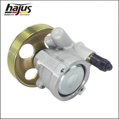 Hydraulic Pump, steering system Hajus 4221047