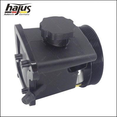Hajus 4221034 Hydraulic Pump, steering system 4221034: Buy near me in Poland at 2407.PL - Good price!