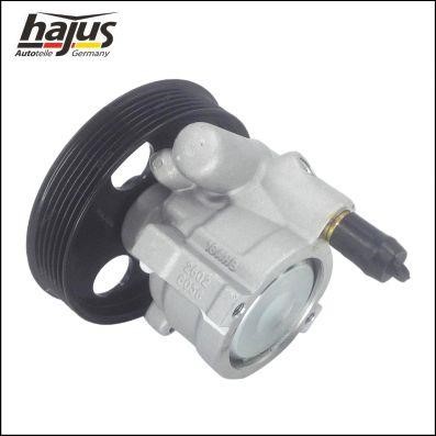 Hajus 4221049 Hydraulic Pump, steering system 4221049: Buy near me in Poland at 2407.PL - Good price!