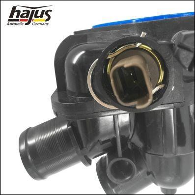 Buy Hajus 1211360 – good price at 2407.PL!