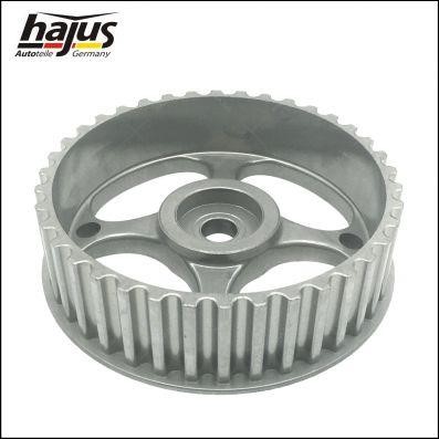 Hajus 1091007 Camshaft Drive Gear 1091007: Buy near me in Poland at 2407.PL - Good price!