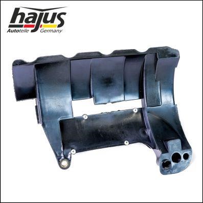 Hajus 1031011 Baffle Plate, oil sump 1031011: Buy near me in Poland at 2407.PL - Good price!