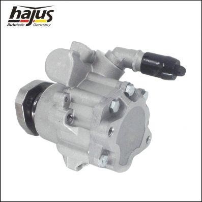 Hajus 4221016 Hydraulic Pump, steering system 4221016: Buy near me in Poland at 2407.PL - Good price!