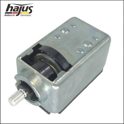 Hajus 9191209 Switch, headlight 9191209: Buy near me in Poland at 2407.PL - Good price!