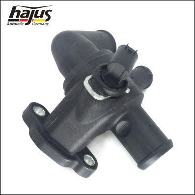 Hajus Thermostat, coolant – price