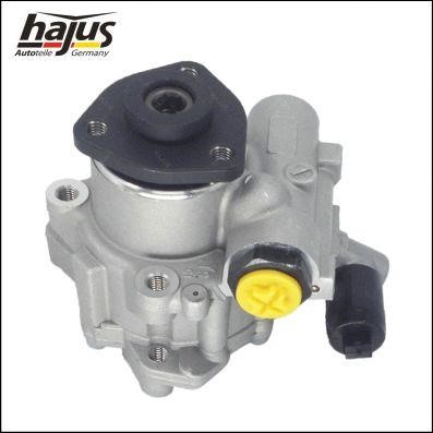Hajus 4221029 Hydraulic Pump, steering system 4221029: Buy near me in Poland at 2407.PL - Good price!
