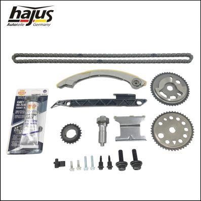 Hajus 1151423 Timing chain kit 1151423: Buy near me in Poland at 2407.PL - Good price!