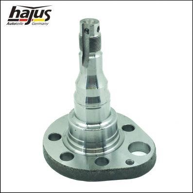 Hajus 4071064 Kingpin, axle beam 4071064: Buy near me at 2407.PL in Poland at an Affordable price!