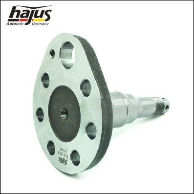 Buy Hajus 4071064 at a low price in Poland!