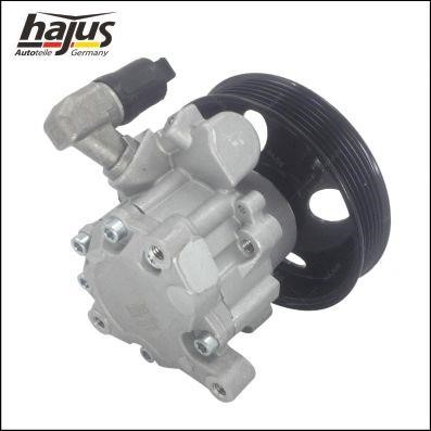 Buy Hajus 4221028 – good price at 2407.PL!