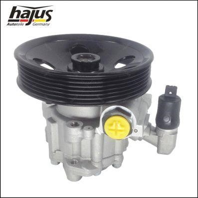 Hajus 4221028 Hydraulic Pump, steering system 4221028: Buy near me in Poland at 2407.PL - Good price!