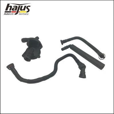 Hajus 1151263 Repair Set, crankcase breather 1151263: Buy near me in Poland at 2407.PL - Good price!