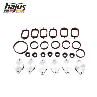 Hajus 2511047 Intake manifold gaskets, kit 2511047: Buy near me in Poland at 2407.PL - Good price!