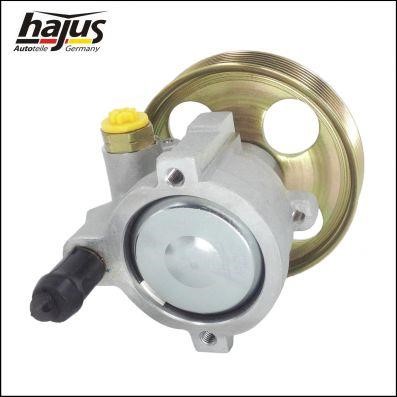 Hajus 4221050 Hydraulic Pump, steering system 4221050: Buy near me in Poland at 2407.PL - Good price!