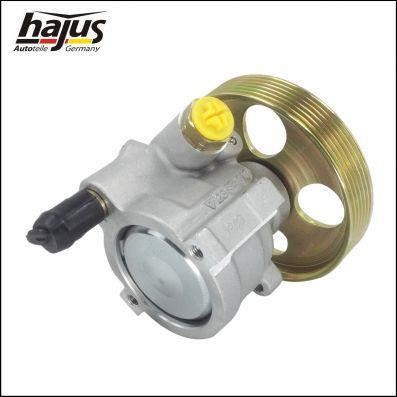 Hydraulic Pump, steering system Hajus 4221050