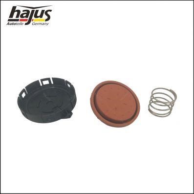 Hajus 1151290 Valve, engine block breather 1151290: Buy near me in Poland at 2407.PL - Good price!