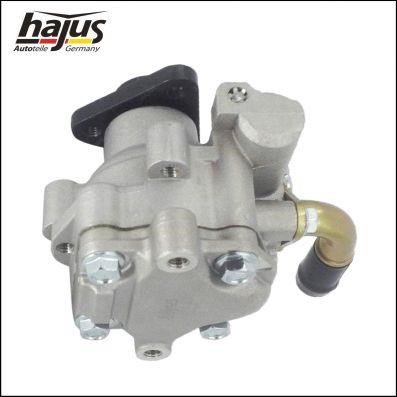 Hajus 4221020 Hydraulic Pump, steering system 4221020: Buy near me in Poland at 2407.PL - Good price!
