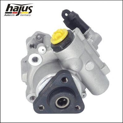 Hajus 4221012 Hydraulic Pump, steering system 4221012: Buy near me in Poland at 2407.PL - Good price!