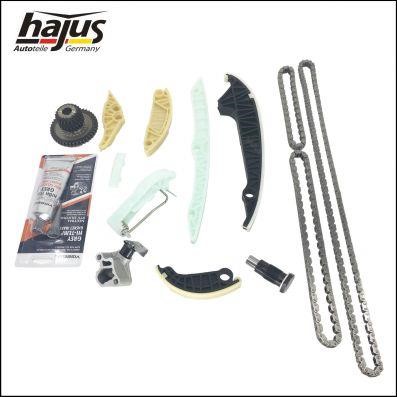 Hajus 1151341 Timing chain kit 1151341: Buy near me in Poland at 2407.PL - Good price!