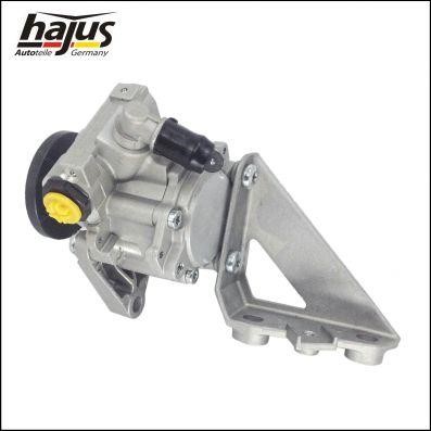Hajus 4221043 Hydraulic Pump, steering system 4221043: Buy near me in Poland at 2407.PL - Good price!