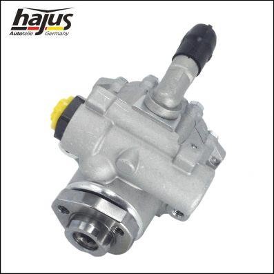 Hydraulic Pump, steering system Hajus 4221011