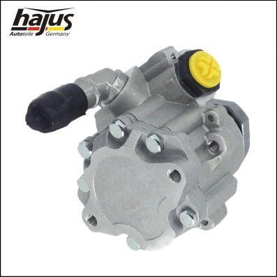Hajus 4221011 Hydraulic Pump, steering system 4221011: Buy near me at 2407.PL in Poland at an Affordable price!