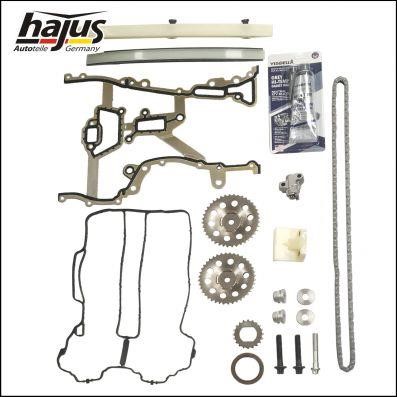 Hajus 1151316 Timing chain kit 1151316: Buy near me in Poland at 2407.PL - Good price!