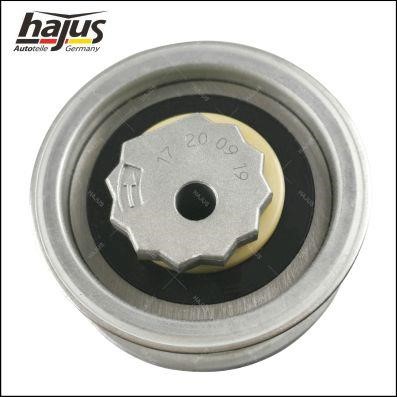Buy Hajus 1091049 at a low price in Poland!
