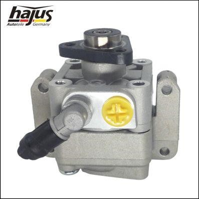 Hajus 4221041 Hydraulic Pump, steering system 4221041: Buy near me in Poland at 2407.PL - Good price!