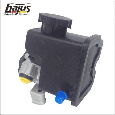 Hajus 4221031 Hydraulic Pump, steering system 4221031: Buy near me in Poland at 2407.PL - Good price!