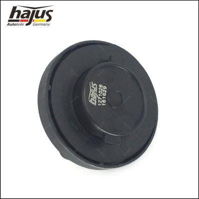 Hajus 1271026 Fuel Door Assembly 1271026: Buy near me in Poland at 2407.PL - Good price!