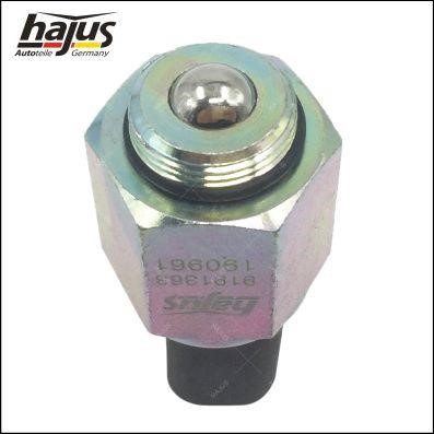 Buy Hajus 9191363 at a low price in Poland!
