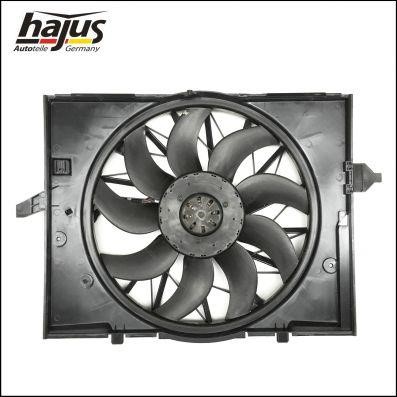 Hajus 1211307 Hub, engine cooling fan wheel 1211307: Buy near me in Poland at 2407.PL - Good price!