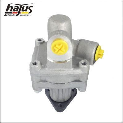 Hajus 4221022 Hydraulic Pump, steering system 4221022: Buy near me in Poland at 2407.PL - Good price!