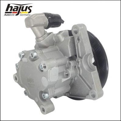 Hajus 4221036 Hydraulic Pump, steering system 4221036: Buy near me in Poland at 2407.PL - Good price!
