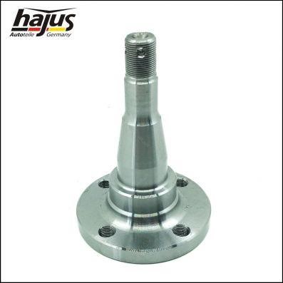 Hajus 4071067 Kingpin, axle beam 4071067: Buy near me at 2407.PL in Poland at an Affordable price!