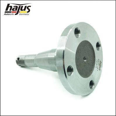 Buy Hajus 4071067 at a low price in Poland!