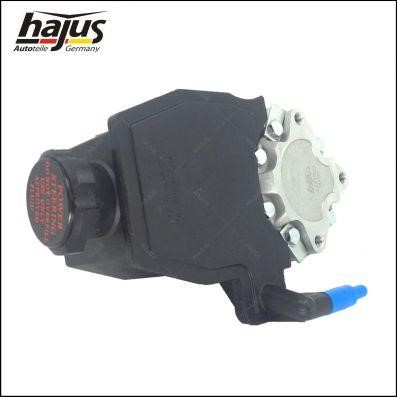 Hajus 4221025 Hydraulic Pump, steering system 4221025: Buy near me in Poland at 2407.PL - Good price!