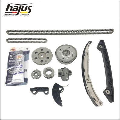 Hajus 1151396 Timing chain kit 1151396: Buy near me in Poland at 2407.PL - Good price!