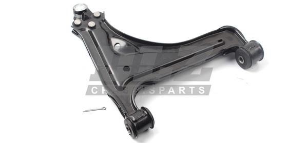 DLZ AM0216L Track Control Arm AM0216L: Buy near me in Poland at 2407.PL - Good price!