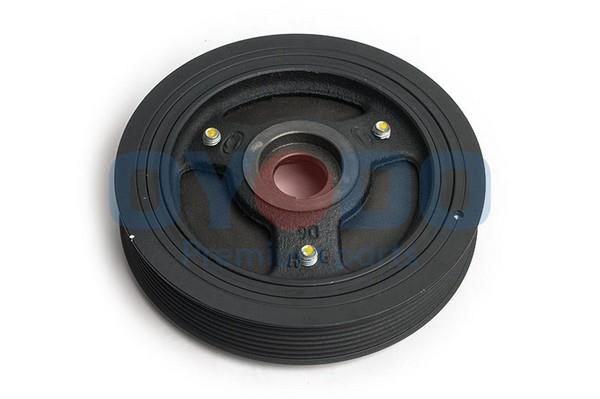 Oyodo 60R0301-OYO Belt Pulley, crankshaft 60R0301OYO: Buy near me at 2407.PL in Poland at an Affordable price!