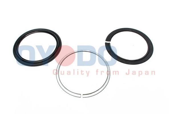 Oyodo 30P1019-OYO Уплотнительное кольцо, поворотного кулака 30P1019OYO: Отличная цена - Купить в Польше на 2407.PL!