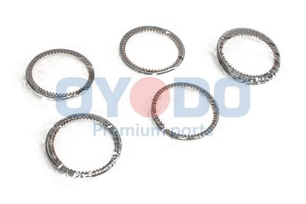 Oyodo 40M3023.000-RIK Piston Ring Kit 40M3023000RIK: Buy near me in Poland at 2407.PL - Good price!