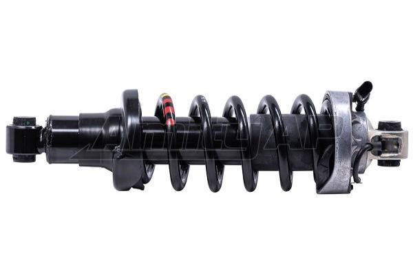 Amity AP 60-SH-0002 Rear Right Oil Shock Absorber 60SH0002: Buy near me in Poland at 2407.PL - Good price!